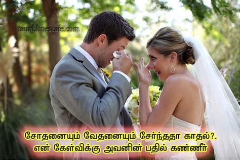 lots of love meaning in tamil|love meaning in english.